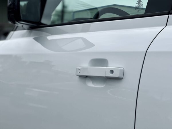 2023年式 Land Rover Defender 110 D300 柴油-左側車門