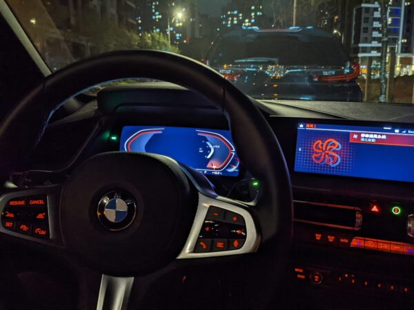 2021 BMW 118i M Sport-方向盤