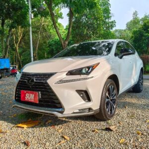 2020 Lexus NX200 豪華休旅
