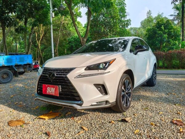 2020 Lexus NX200 豪華休旅