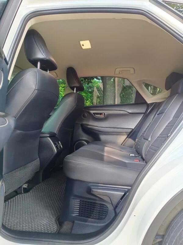 2020 Lexus NX200 豪華休旅-後座